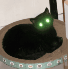 这里还有8个“Manus”：1亿美元ARR，都是ToC